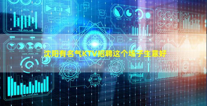 沈阳有名气KTV招聘这个场子生意好